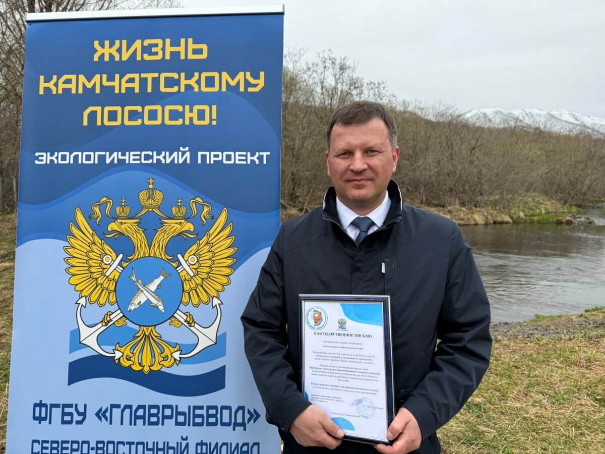 Торжественный выпуск мальков лососей прошел на Камчатке