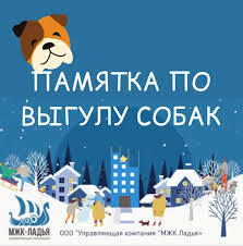 Правила выгула собак