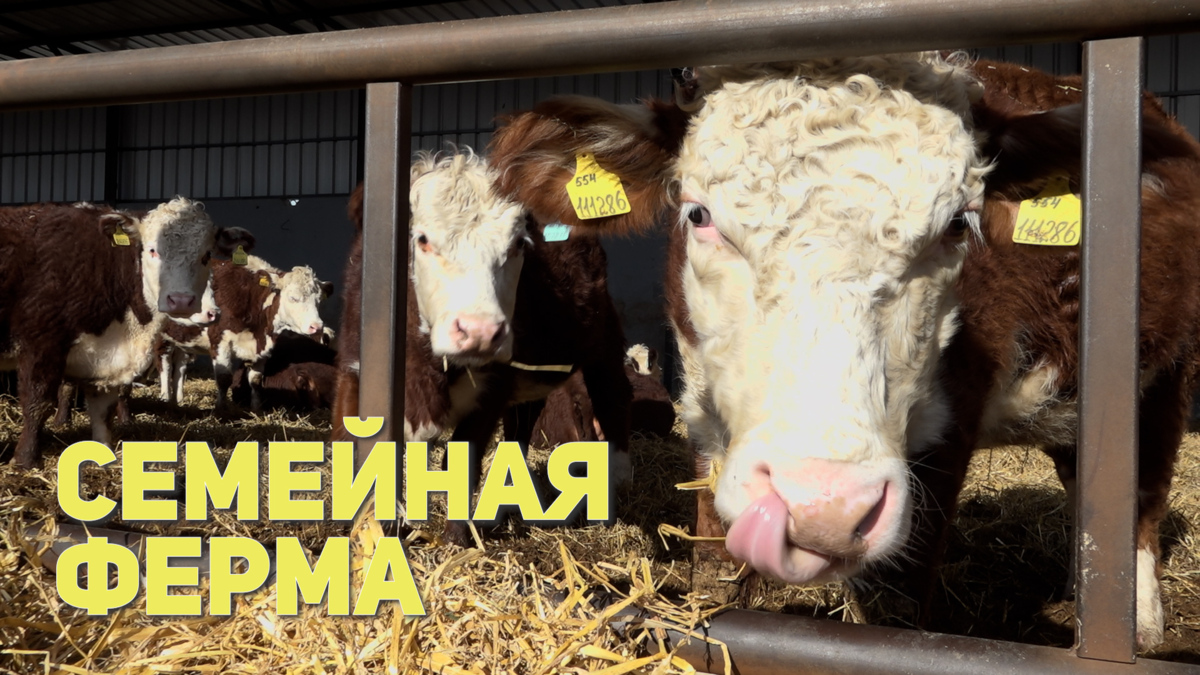 На Камчатке стартовал дополнительный отбор на гранты для семейных ферм