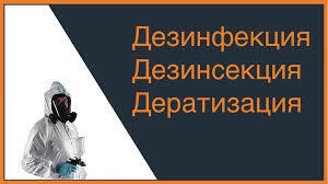 Памятка для населения: почему и как надо бороться с грызунами и насекомыми.