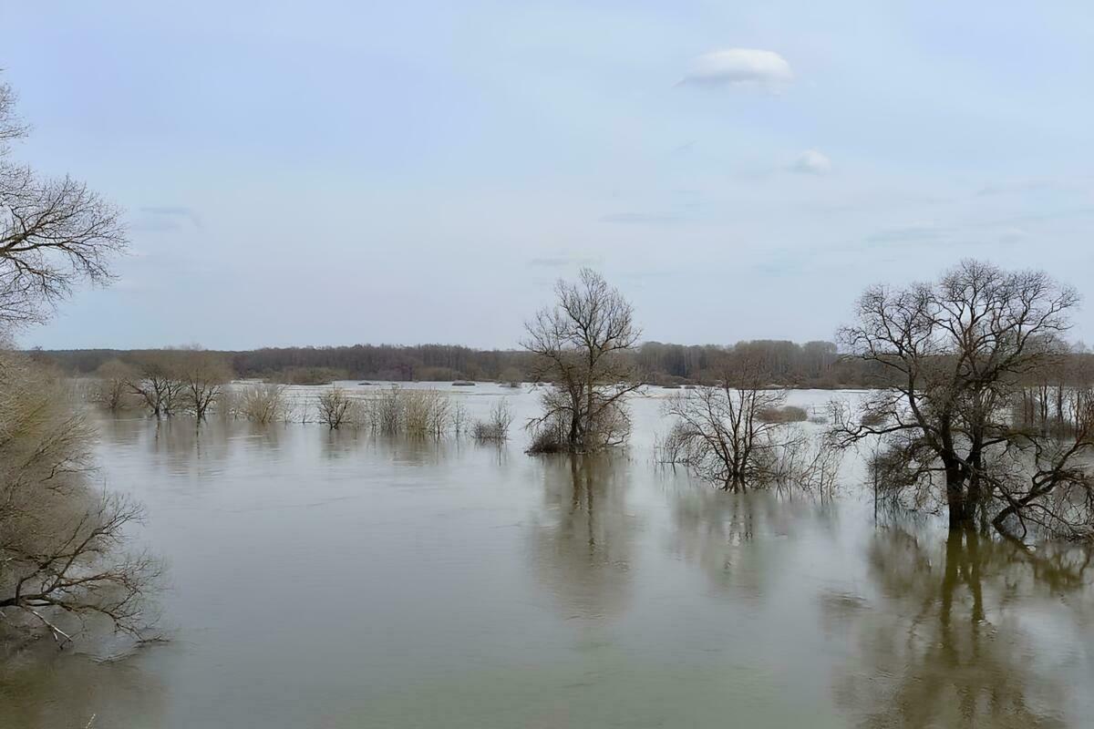 Гидрологи Камчатки следят за уровнем воды в реках